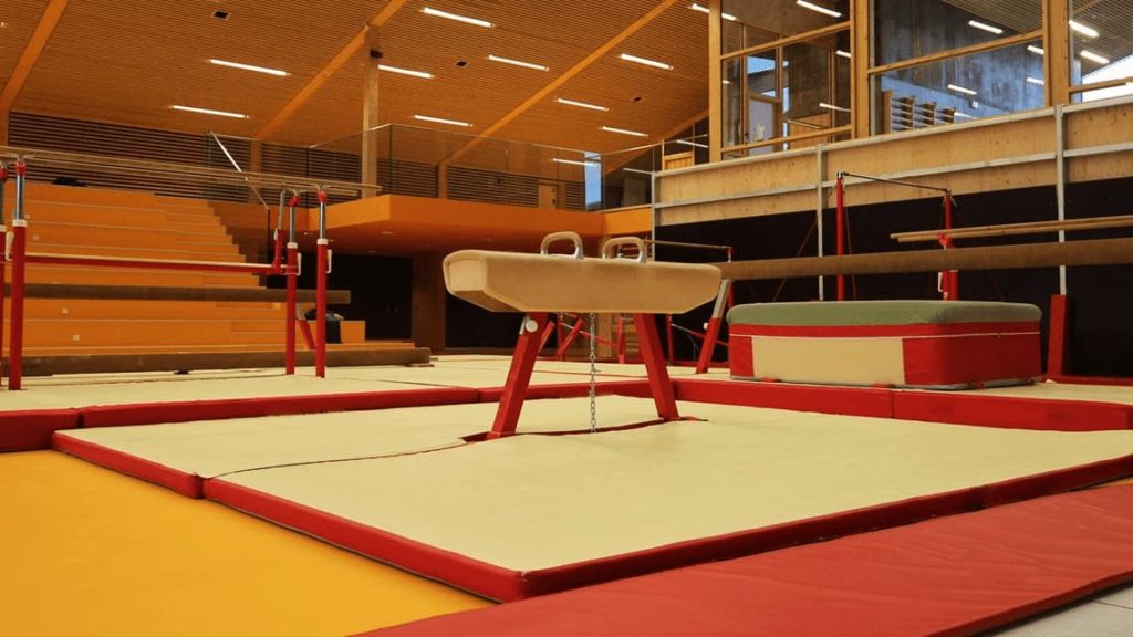 Pommel horse in a gymnastics gymnasium